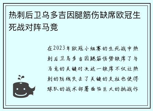 热刺后卫乌多吉因腿筋伤缺席欧冠生死战对阵马竞